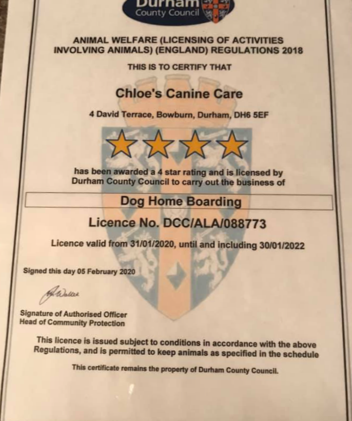 Dog Boarding Certificate Chloe's Canine Care